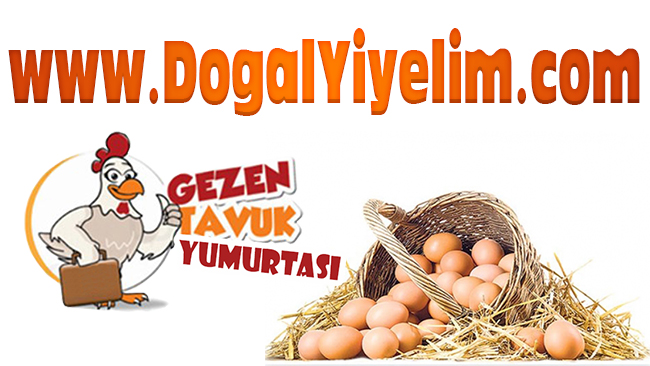 Doğal köy ürünleri
